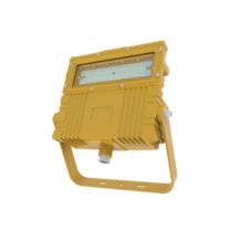 弗朗IRE 防爆免维护节能灯，LED 500W 5000K 白光，BRE1801-500W，单位：个