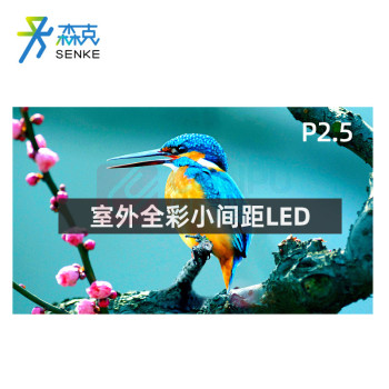 森克 显示屏 SK-JBDP25LED-SW 全彩色显示屏 室外 1㎡