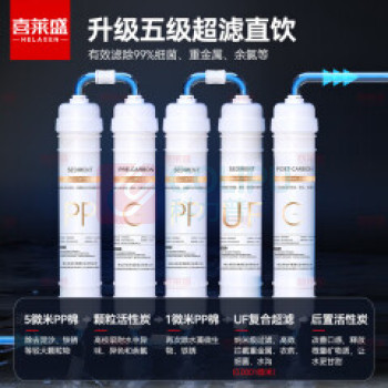 喜莱盛 净水器 XLS-GK-120GT/80LKS 落地式 5级