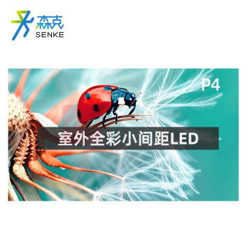 森克 显示屏 SK-JBDP4LED-SW 全彩色显示屏 室外 1㎡