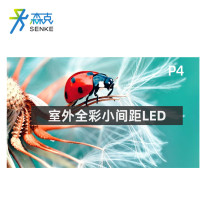森克 显示屏 SK-JBDP4LED-SW 全彩色显示屏 室外 1㎡