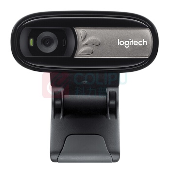 罗技 Logitech 罗技（Logitech） C170 网络摄像头 多人通话 网络课程笔记本电脑摄像头 黑色