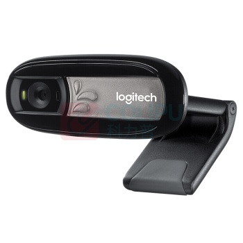 罗技 Logitech 罗技（Logitech） C170 网络摄像头 多人通话 网络课程笔记本电脑摄像头 黑色